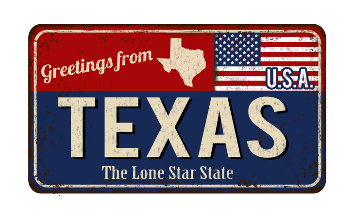 Texas the Lone Star State