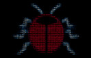 Software-Bug