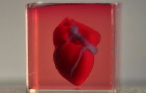 Mini-Herz aus dem 3D-Drucker