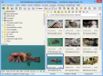 Faststone Image Viewer Portable ist ein vielseitiger Bildbetrachter mit schneller Vorschau- und Vollbildfunktion.