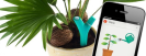 Bluetooth-Pflanzensensor Parrot Flower Power misst Lichtstärke, Umgebungstemperatur, Bodenfeuchtigkeit und Düngerstand.