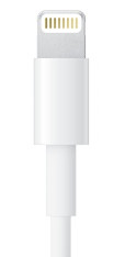 Bei Apple funktioniert's schon: Der Lightning-Connector, der Anschluss für aktuelle iPads und iPhones, lässt sich in beide Richtungen anstecken.