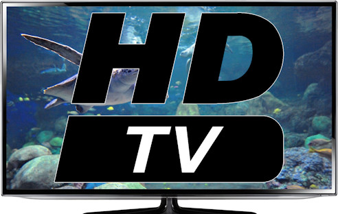 Ab dem 5. Dezember 2013 stellt die ARD weitere Sender in HD-Qualität bereit. Den meisten Kabel-Nutzern bleibt der HDTV-Genuß allerdings verwehrt.