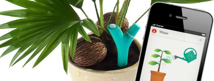 Der Bluetooth-Pflanzensensor Parrot Flower Power weiß immer, wie es um Ihre Pflanzen steht: Das Gerät misst Lichtstärke, Umgebungstemperatur, Bodenfeuchtigkeit und Düngerstand.