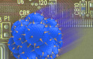 Neue Malware: Erpresservirus PrisonLocker rollt an