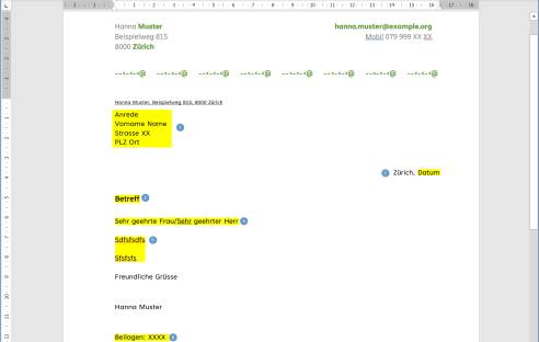 Screenshot Word-Briefentwurf mit markierten Feldern