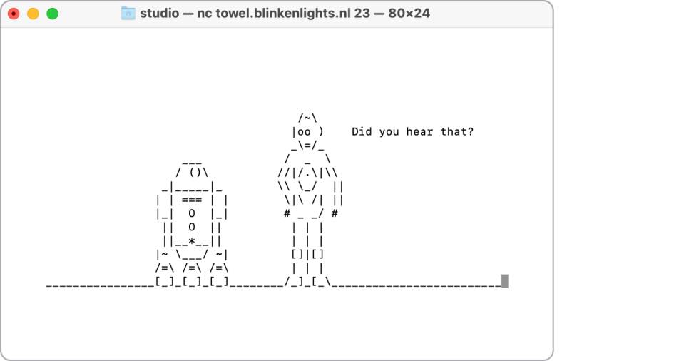 Der Screenshot zeigt die beiden Androiden R2D2 und C3PO als ASCII-Zeichen