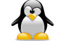 Ein Pinguin ist das Linux-Logo