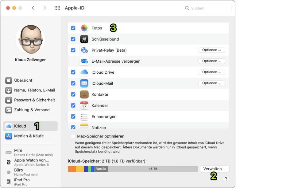 Der Screenshot zeigt die Mac-Einstellungen zur iCloud