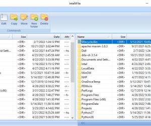 Dateimanager für Windows