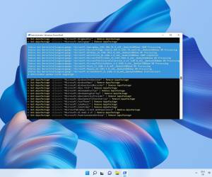 Windows 11 entmüllen – so gehts