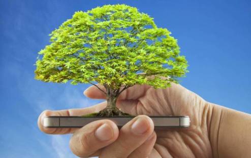 Baum wächst aus einem Smartphone