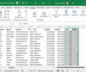 Excel/LibreOffice: Mitgliedschaftsdauer und Alter anhand des aktuellen Jahrs