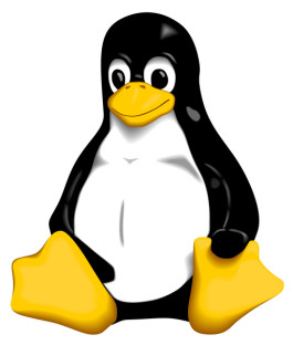 Linux-Updates sichern Rechner