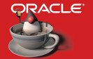 Das Büger-Cert warnt vor einem hohen Sicherheitsrisiko bei veralteten Java-Installationen und empfiehlt sofortige Updates. Hersteller Oracle hat inzwischen 20 kritische Sicherheitslücken beseitigt.