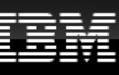 Sicherheitslücke in IBM-Datenbank