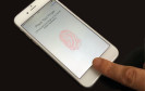 Beim neuen iPhone 6 lässt sich der Fingerabdruck-Sensor TouchID genauso leicht austricksen wie der Sensor im Vorgängermodell iPhone 5S - allerdings mit schwerwiegenderen Folgen.