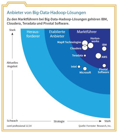 Anbieter von Big-Data-Hadoop-Lösungen: Zu den Marktführern bei Big-Data-Hadoop-Lösungen gehören IBM, Cloudera, Teradata und Pivotal Software.