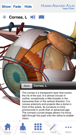 Human Anatomy Atlas - Die App bietet Informationen und Grafiken zu über 3.800 anatomischen Strukturen in 3D. 