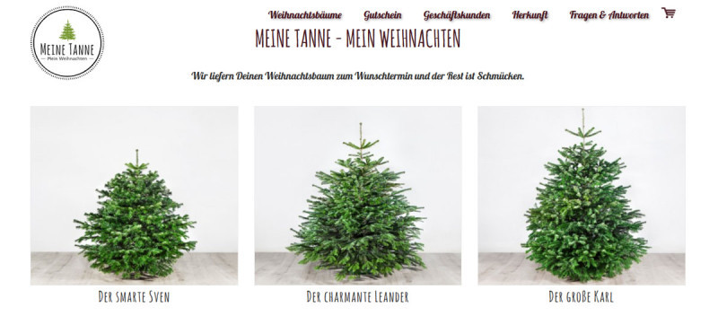 Weinachtsbaum bestellen: Es gibt bereits mehrere Anbieter, die Weihnachtsbäume auch auf dem Postweg zusenden.