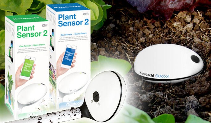 Koubachi Wi-Fi Plant Sensor - Die smarten Pflanzensensoren des Schweizer Herstellers Koubachi messen Helligkeit, Lufttemperatur sowie die Bodenfeuchte und liefern auch Informationen zur Bodentemperatur.