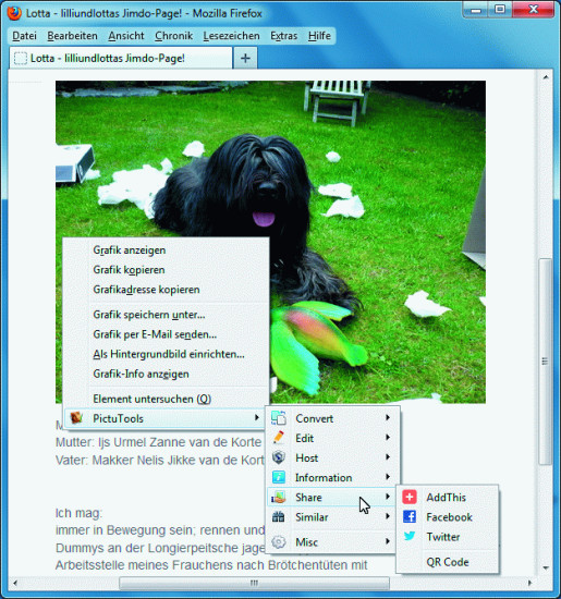 Pictu Tools 2.2.1 integriert in Firefox rund 40 Online-Tools zur Bildbearbeitung.