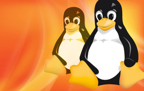 Linux Tux Pinguin