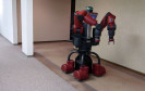 Roboter bei der Amazon Picking Challenge