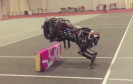 Roboter springt über Hindernisse