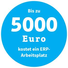 Bis zu 5000 Euro kostet ein ERP-Arbeitsplatz
