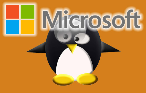 Microsoft und Linux