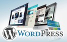 Wordpress-Nutzung wächst