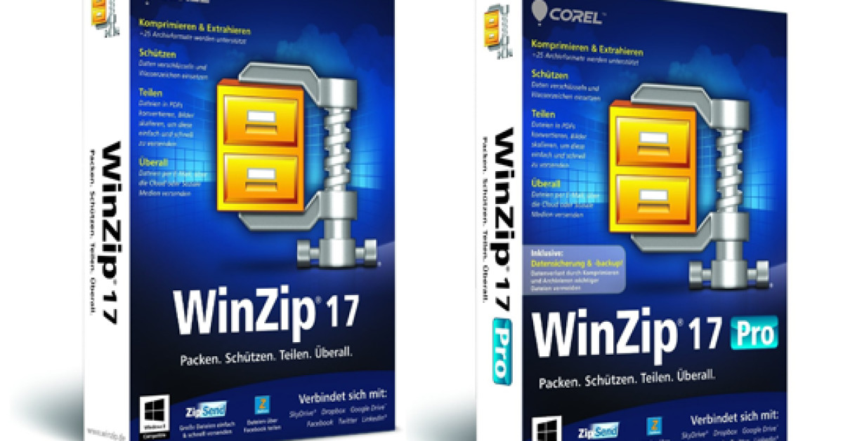 download winzip 17.5 standard edition