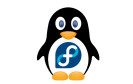 Pinguin mit Fedora-Logo