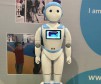 iPal robot