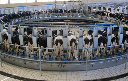 Automatisiertes Melk-System