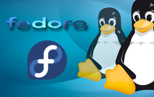 Das Fedora-Projekt hat Version 19 seiner Linux-Distribution freigeben.