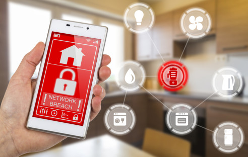 Smart Home Network Breach